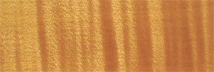 Wasserbeize flüssig 428, altgoldbraun
